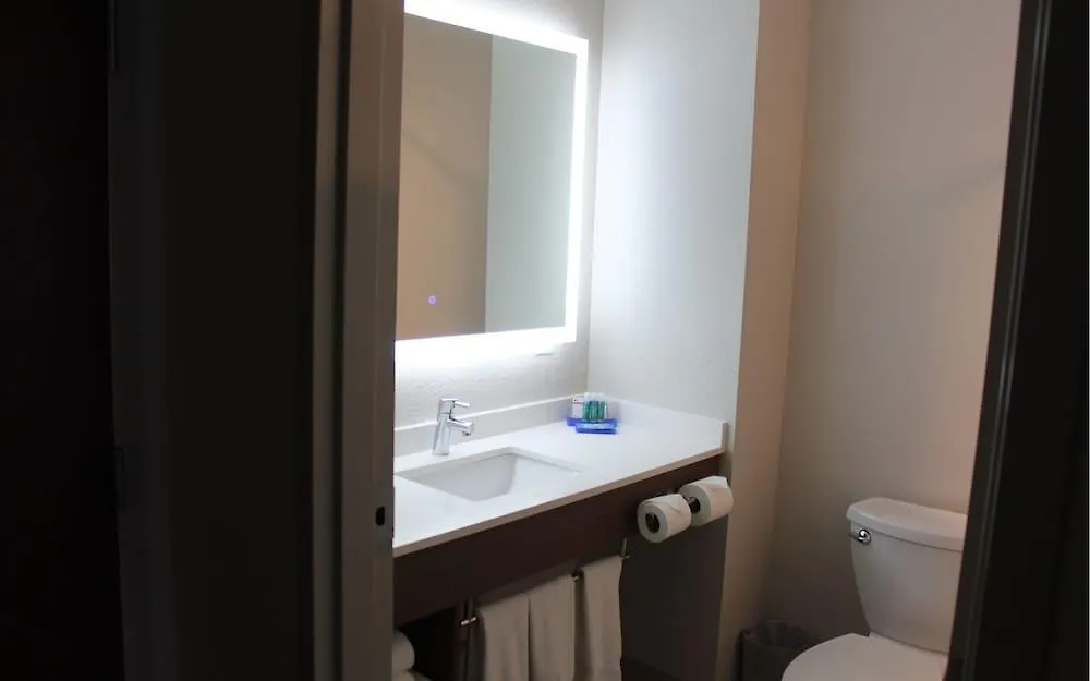 Hotel Holiday Inn Express Orlando - South Davenport By Ihg